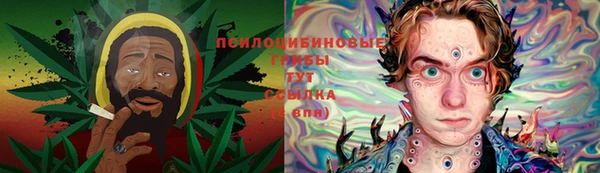 apvp Арсеньев